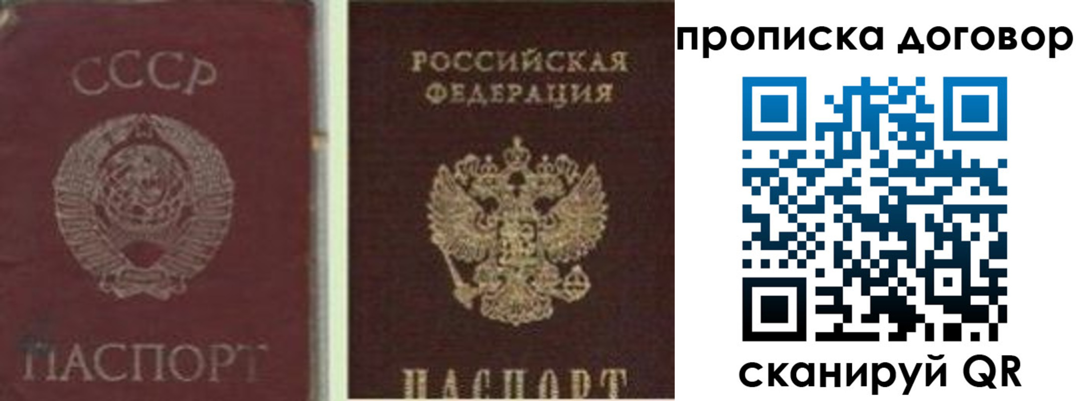прописка гарантия в Котово
